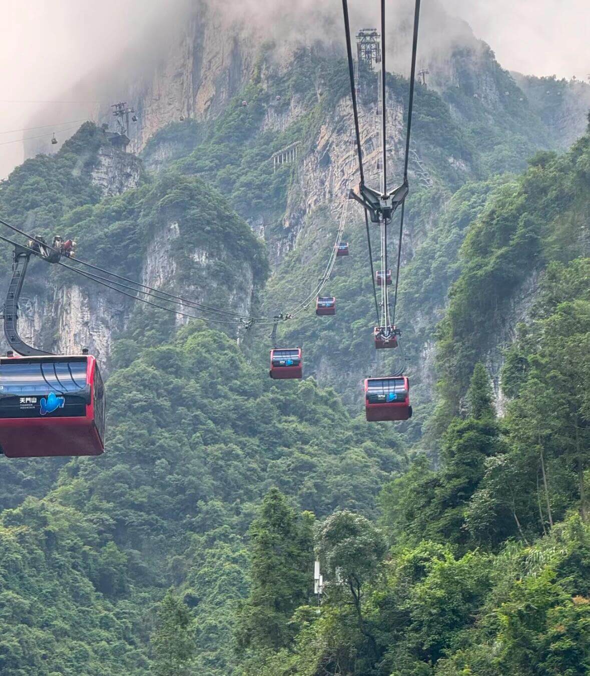 クラシック張家界 1日/2日観光ツアー