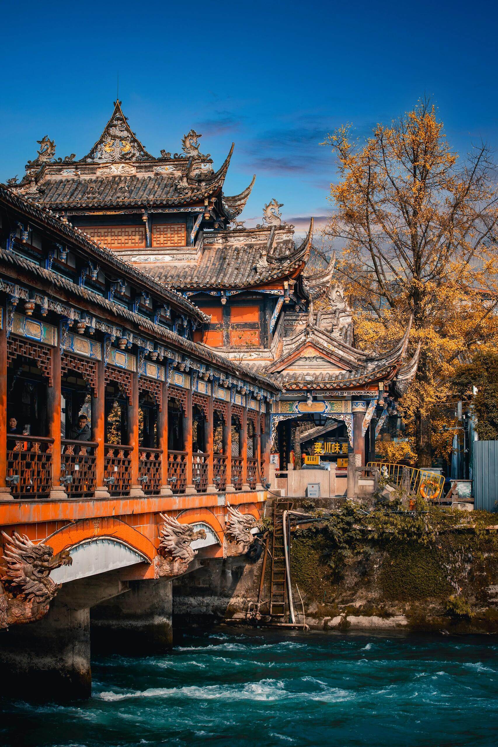 成都 · パンダと古代水利の自然探険 ー 1日ツアー