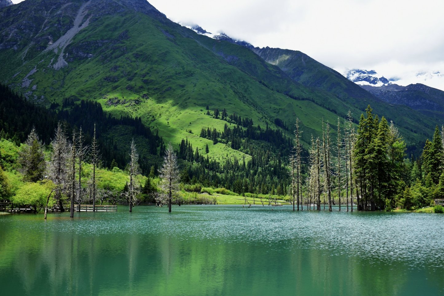 [6日間]四川西部一周！絶景観光ツア・四川料理,パンダ,四川西部,人気スポット,おすすめ スポット,中国旅行パンダの旅,四川旅行