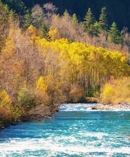 [10日間]四川西部一周＆パンダ基地・四川料理,パンダ,四川西部,人気スポット,おすすめ スポット,中国旅行パンダの旅,四川旅行