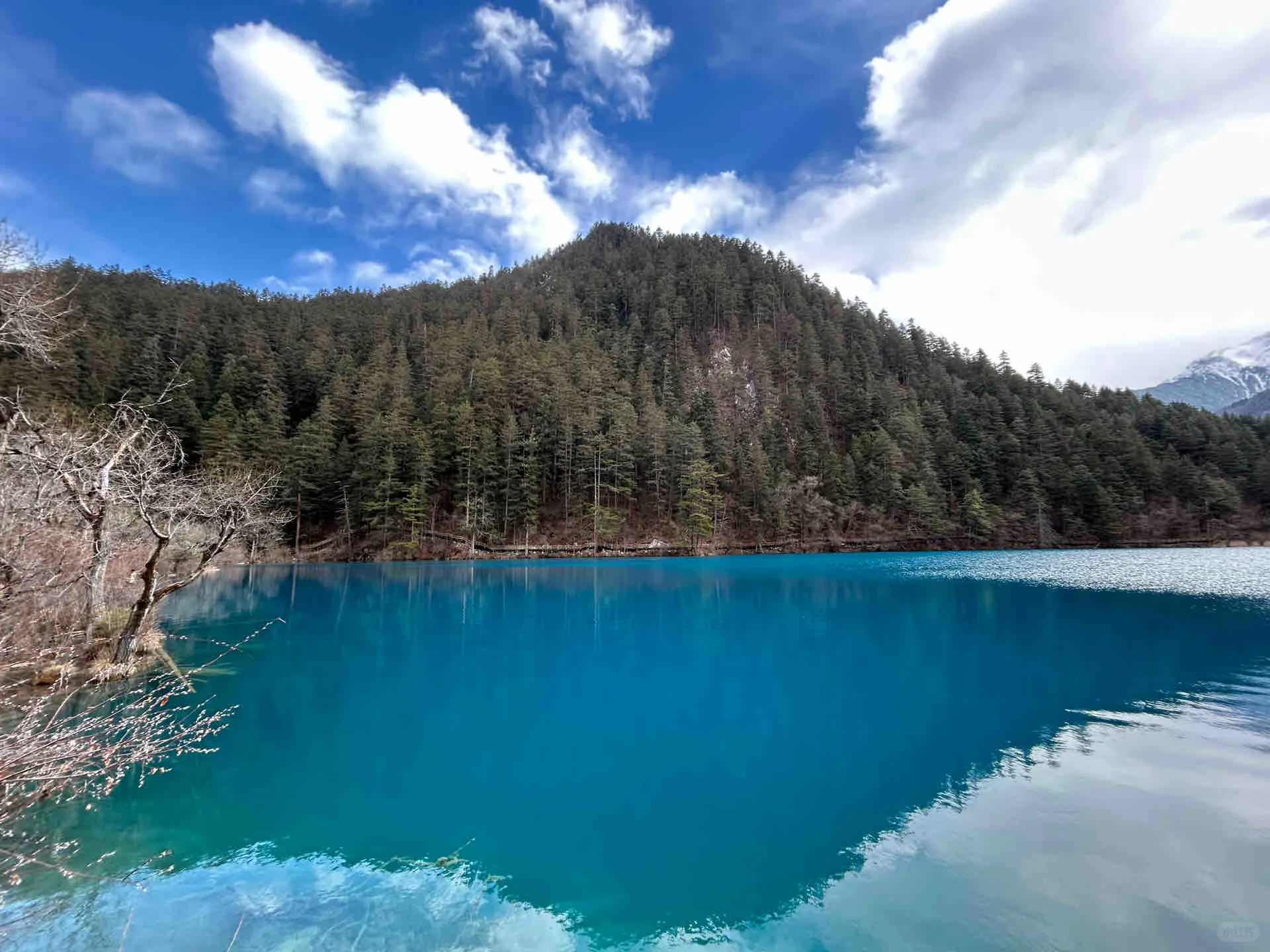 クラシック九寨溝 1日/2日観光ツアー