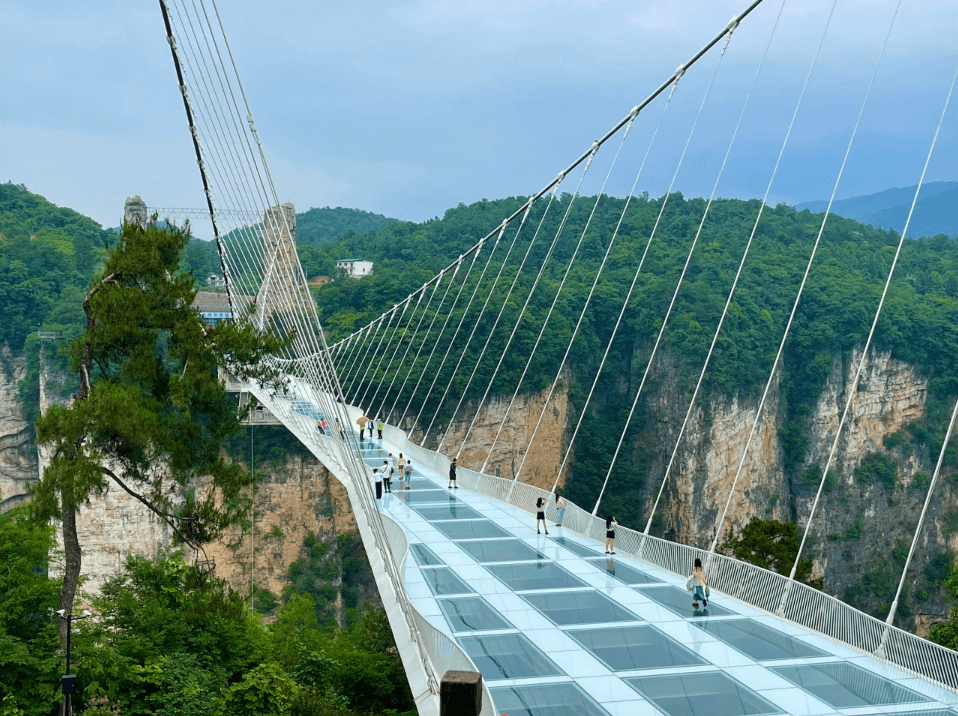 張家界大峡谷：万丈の絶壁の上で、清らかな碧水と出会う