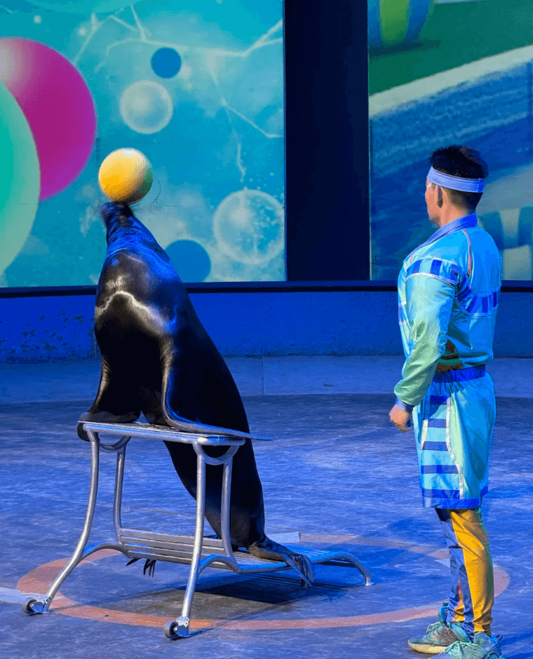 上海馬戲城：『ERA時空之旅』