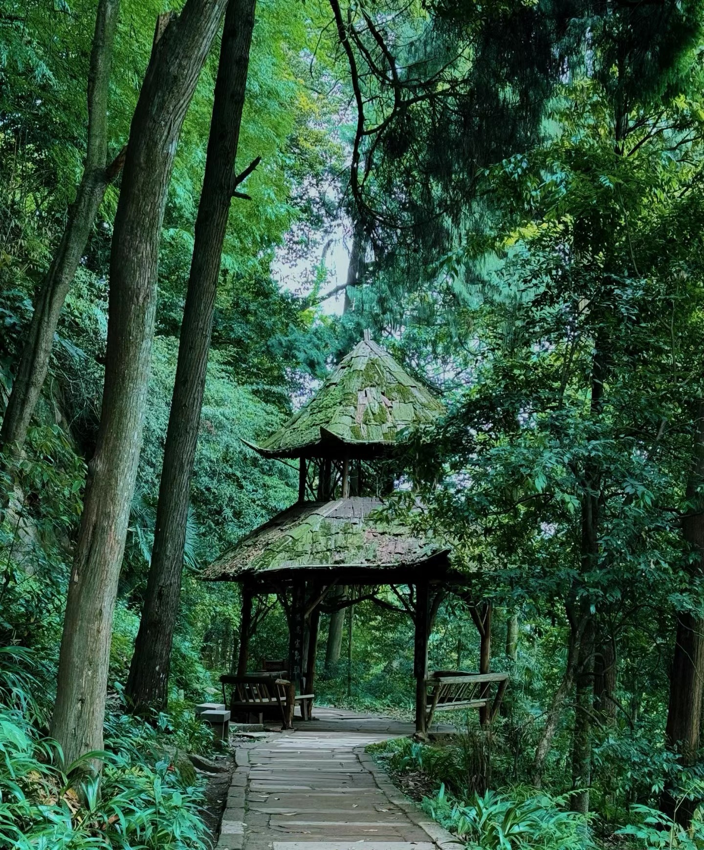 [6日間]成都を隅々まで満喫！・四川料理,パンダ,四川西部,人気スポット,おすすめ スポット,中国旅行パンダの旅,四川旅行