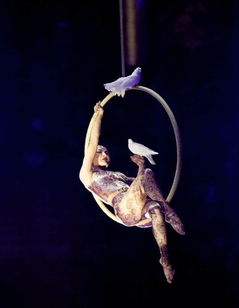 {"default":"上海馬戲城公演を見ます"}
