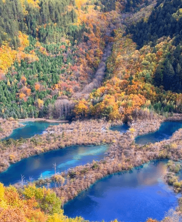 パンダと一緒に九寨溝を巡る旅
