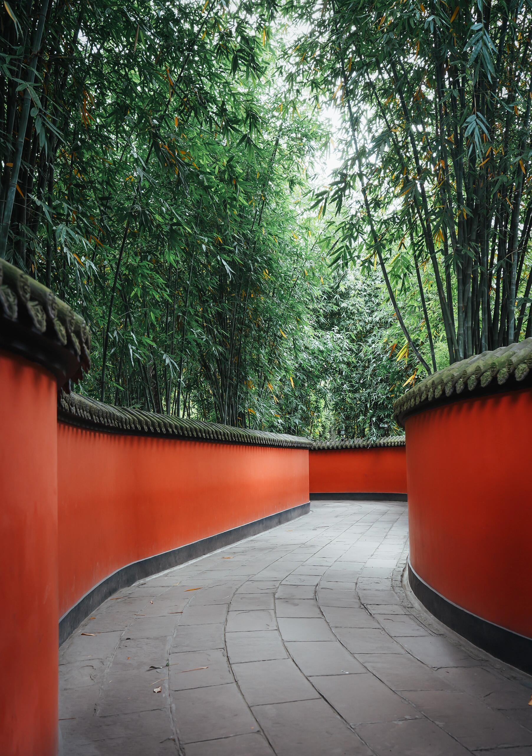 詩と三国 ～人文双遺産の旅～ー 1日ツアー