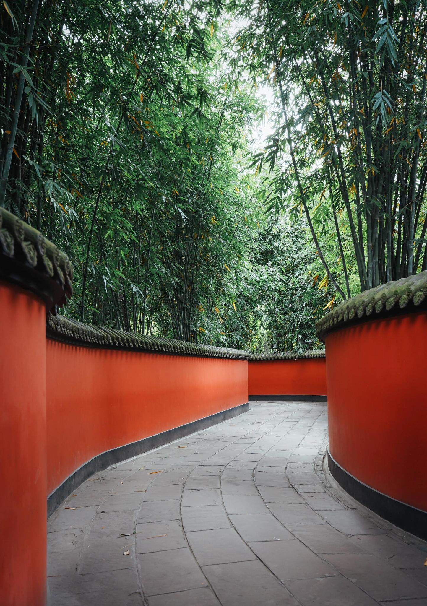 詩と三国 ～人文双遺産の旅～ー 1日ツアー