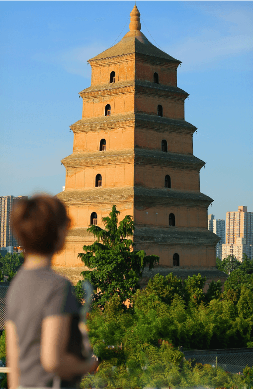西安・唐文化体験デ ー 1日ツアー