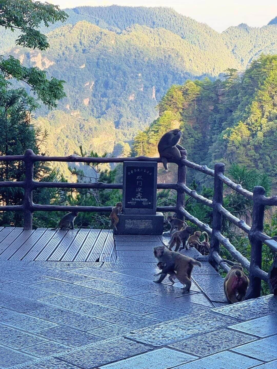 長沙＆張家界 · 湖南西部に出会う