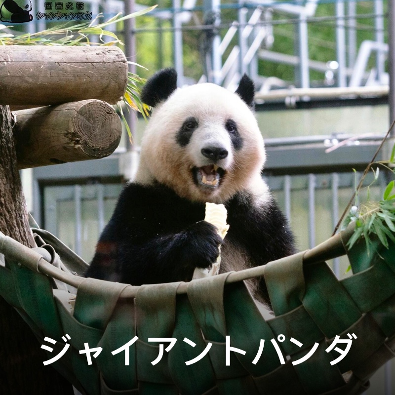 北京オリンピック公園（鳥の巣と水立方） – 福遊客-一番自由の中国旅行