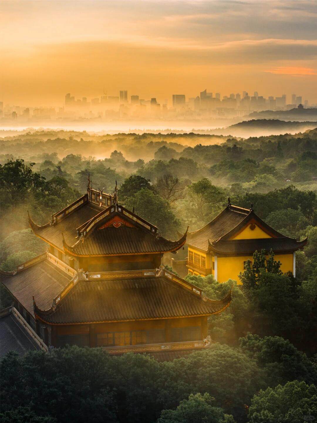 [3日間]週末弾丸でも巡れる！上海・杭州旅行