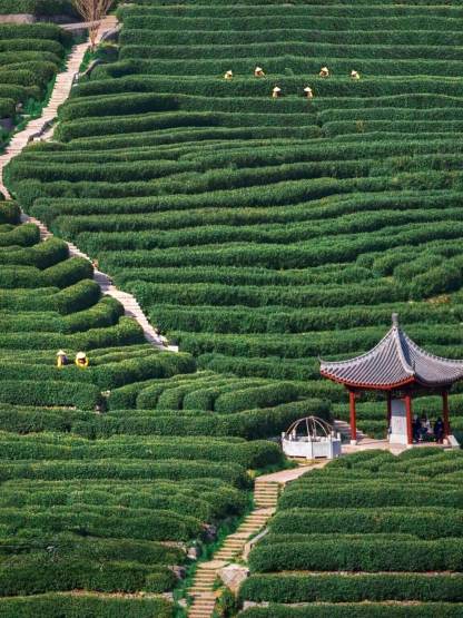 [3日間]週末弾丸でも巡れる！上海・杭州旅行