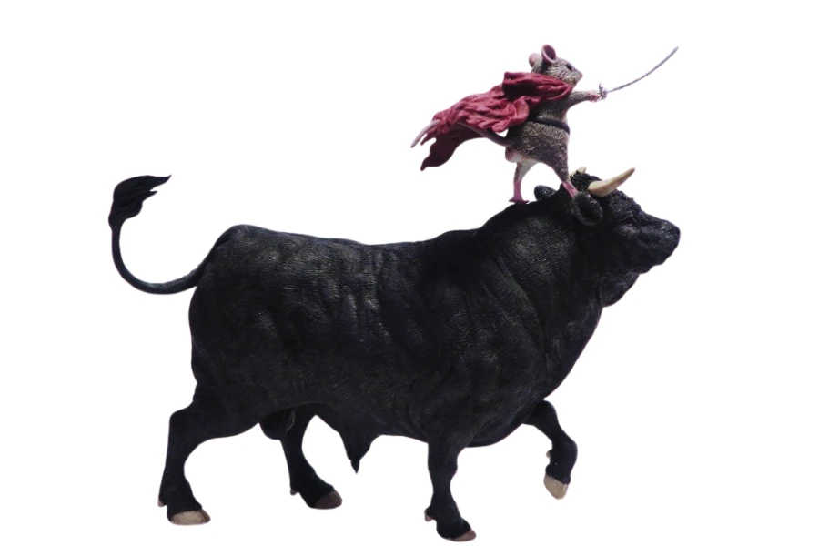 子年にまつわる由来や干支の考え方をわかりやすく伝える図