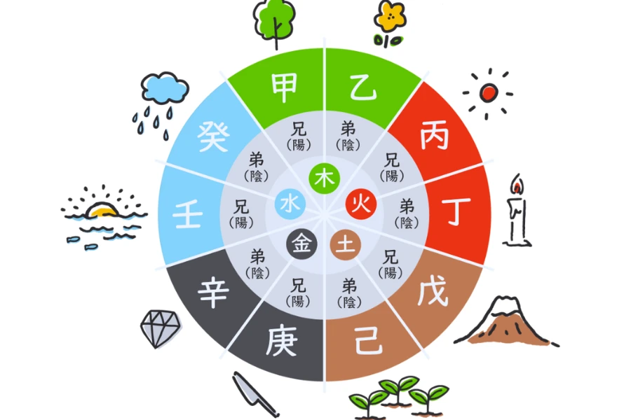 巳年（みどし）と他の干支との相性をわかりやすく解説した図