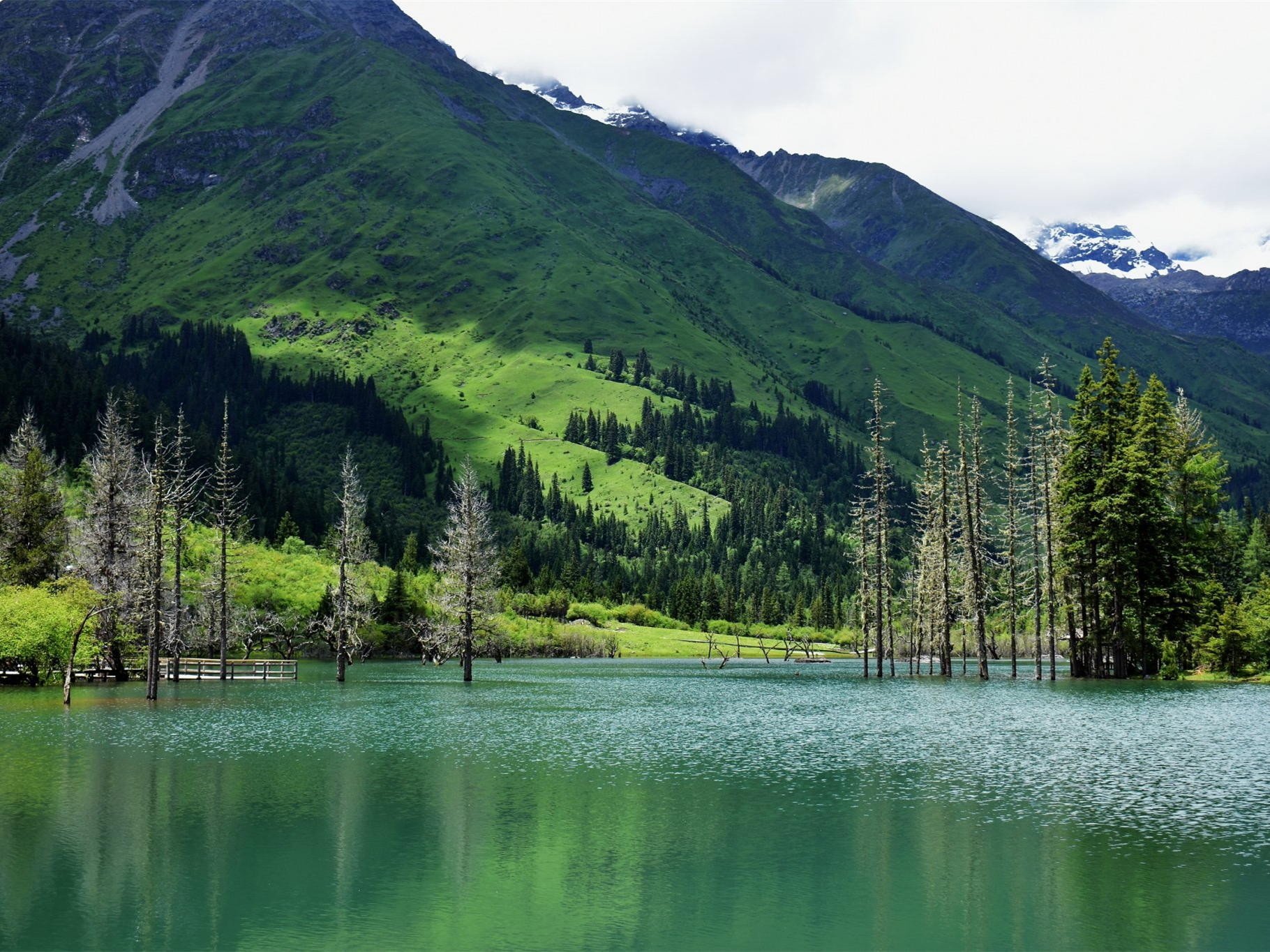 [7日間]四川西部一周＆パンダ基地！感動絶景ツアー・四川料理,パンダ,四川西部,人気スポット,おすすめ スポット,中国旅行パンダの旅,四川旅行