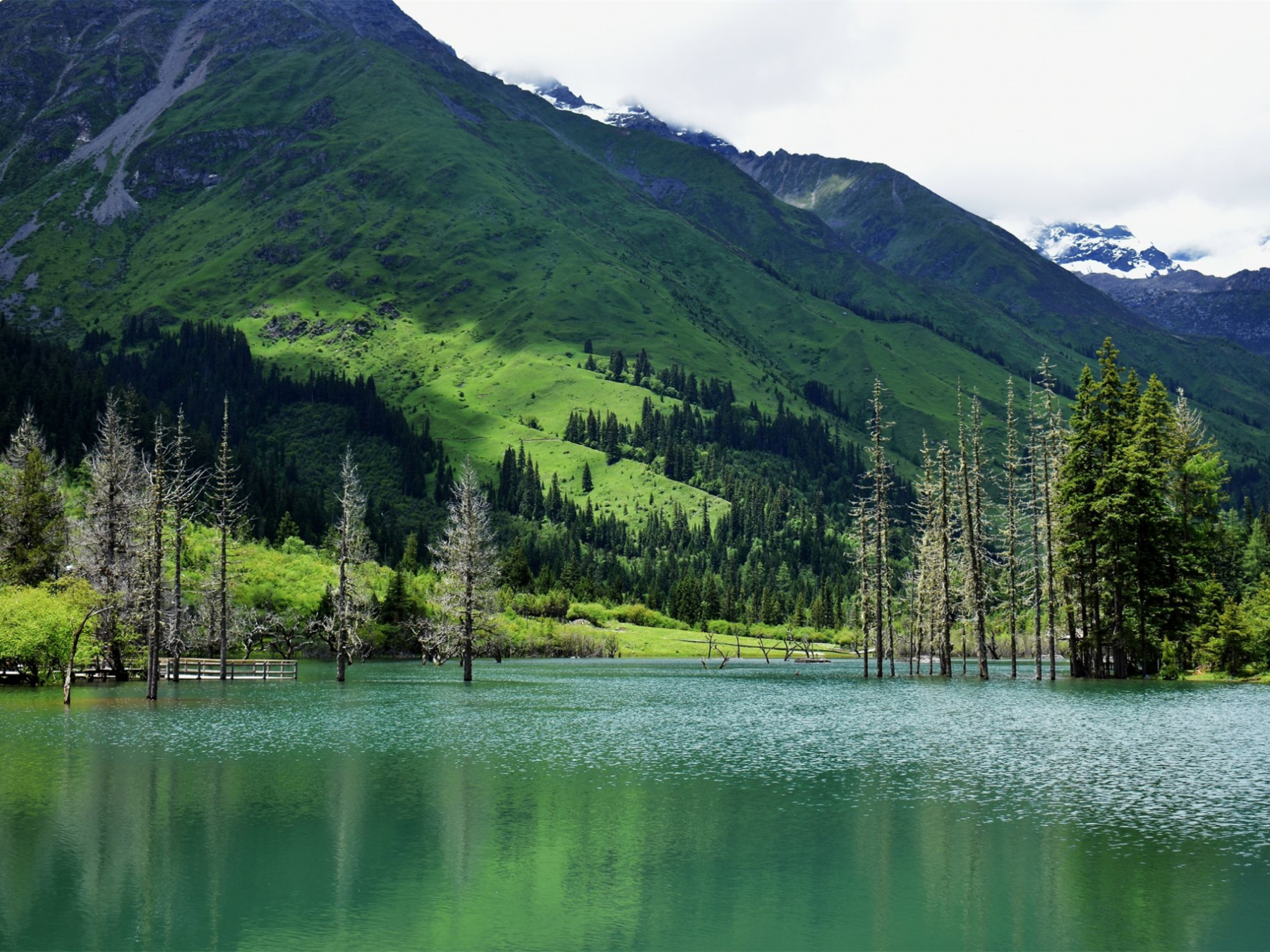 [7日間]四川西部一周＆パンダ基地！感動絶景ツアー・四川料理,パンダ,四川西部,人気スポット,おすすめ スポット,中国旅行パンダの旅,四川旅行