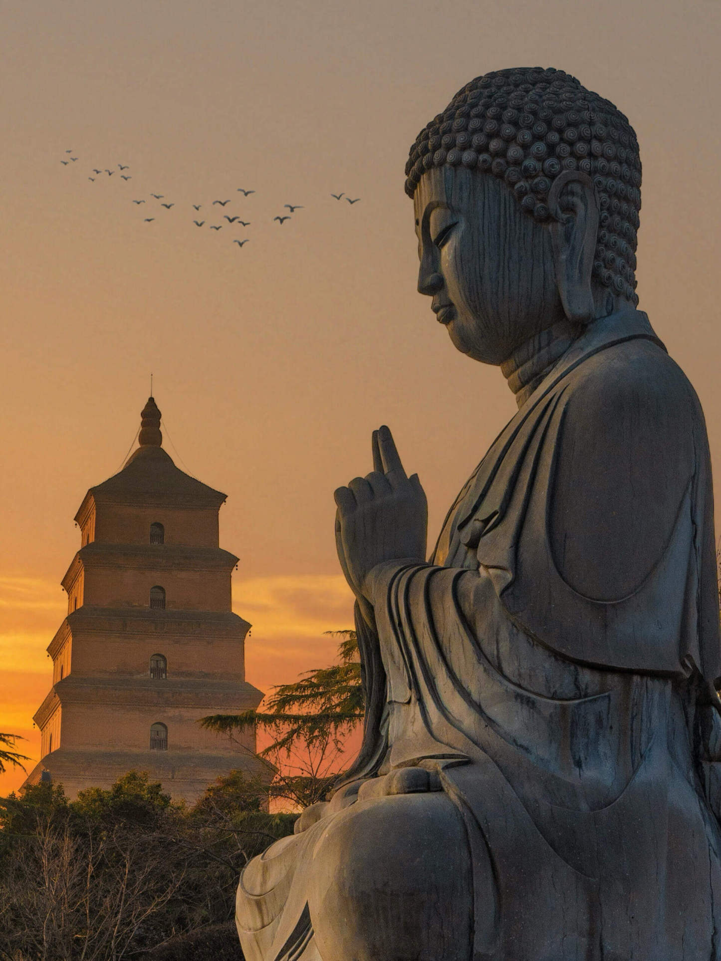 クラシック西安  1日/2日観光ツアー