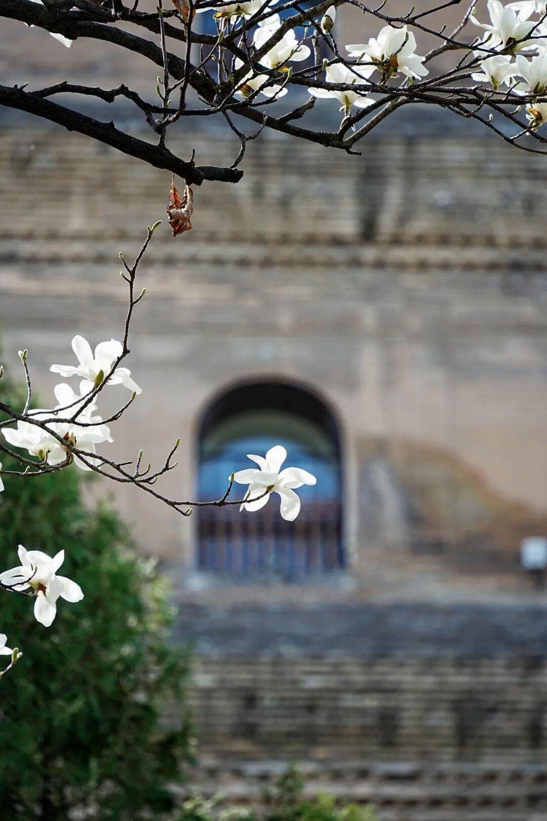 クラシック西安  1日/2日観光ツアー
