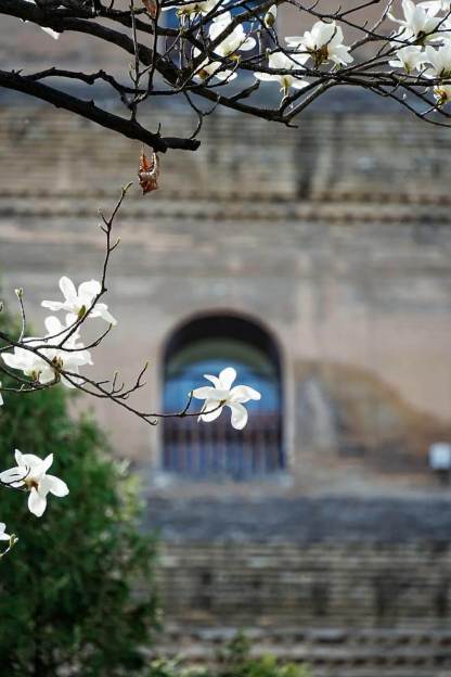 クラシック西安  1日/2日観光ツアー