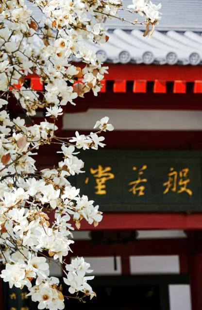 クラシック西安  1日/2日観光ツアー