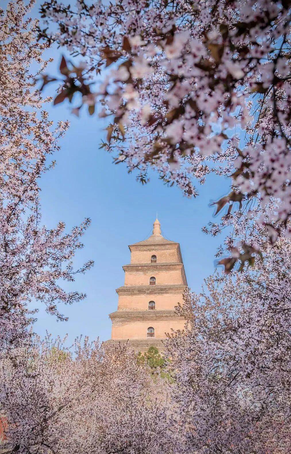 クラシック西安  1日/2日観光ツアー