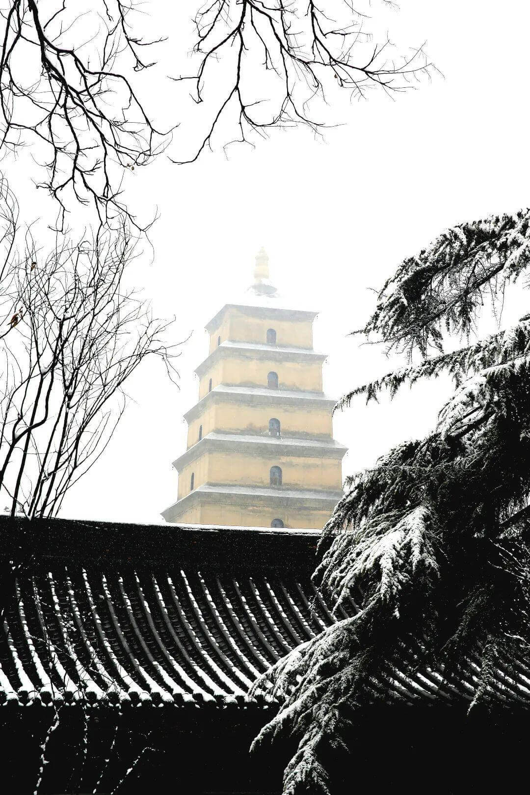 クラシック西安  1日/2日観光ツアー