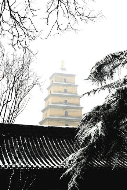 クラシック西安  1日/2日観光ツアー