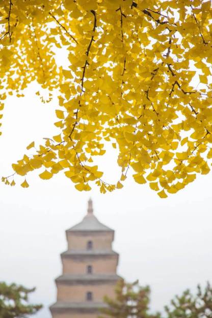 クラシック西安  1日/2日観光ツアー