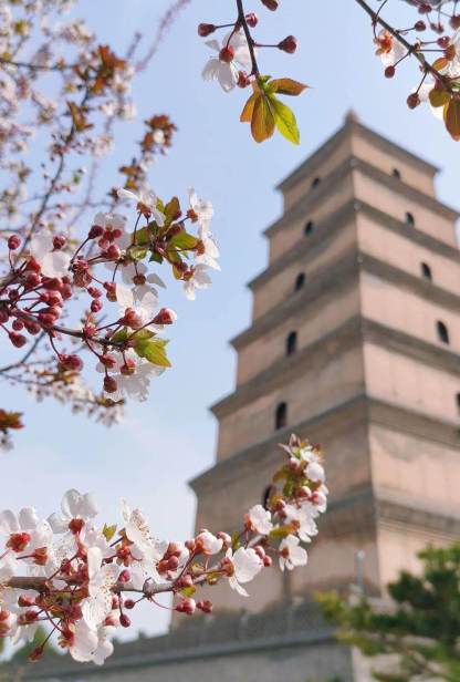 クラシック西安  1日/2日観光ツアー