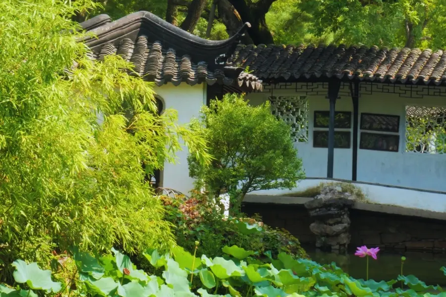蘇州 拙政園 中国古典庭園の水景設計