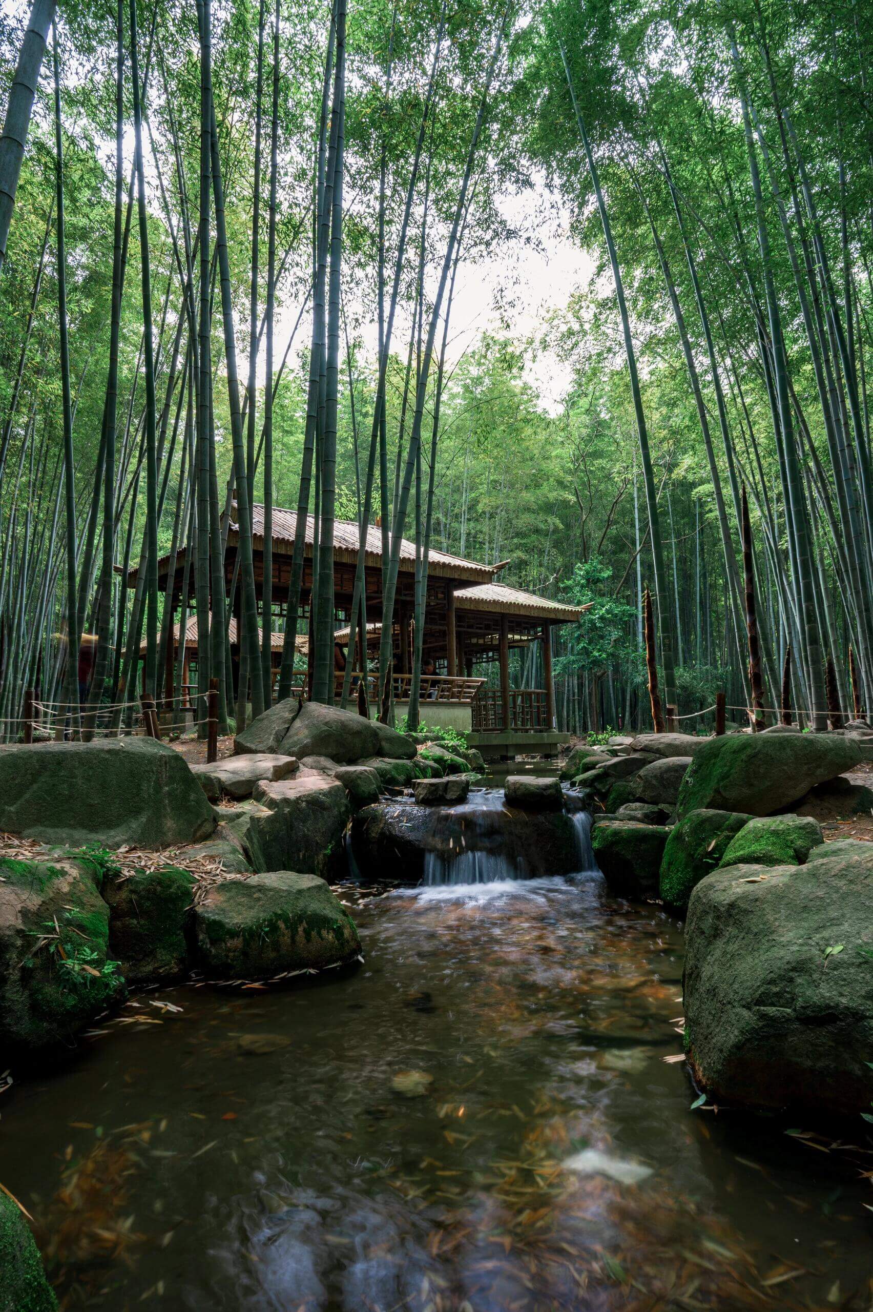 [5日間]上海・杭州・蘇州！厳選観光コース