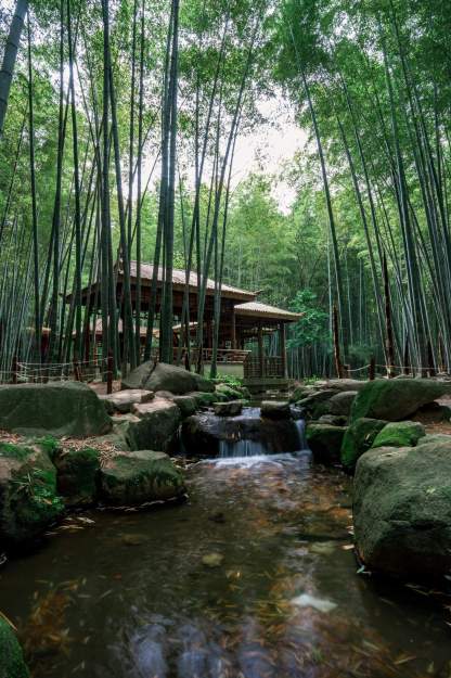 [5日間]上海・杭州・蘇州！厳選観光コース