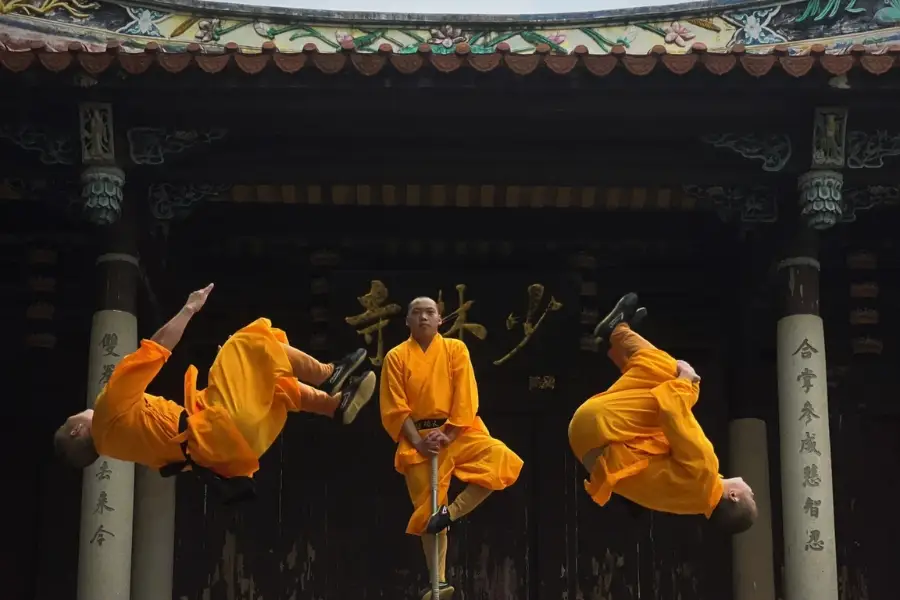 少林寺の武術演武 - 中国武術の美学と技術の表現。