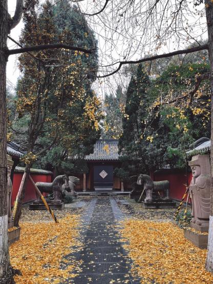 詩と三国 ～人文双遺産の旅～ー 1日ツアー