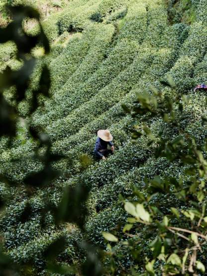 [3日間]週末弾丸でも巡れる！上海・杭州旅行