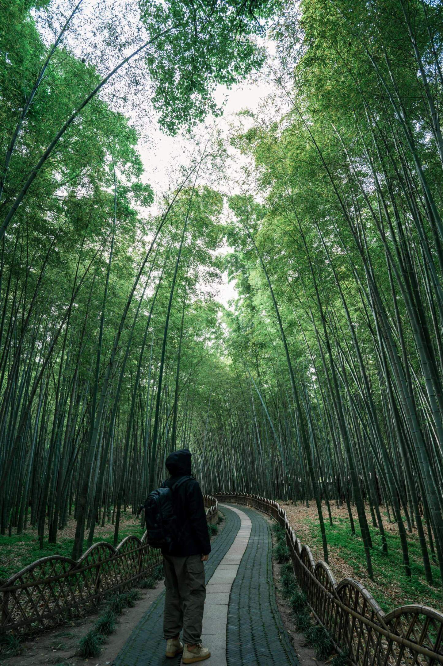 [5日間]上海・杭州・蘇州！厳選観光コース
