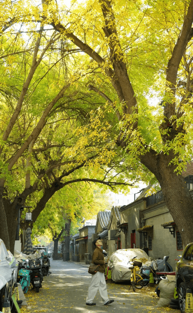 北京の中軸線に沿って旅をする