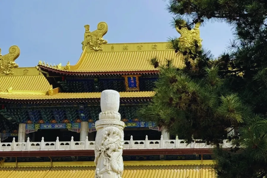 上海普陀区にある玉仏寺の全景