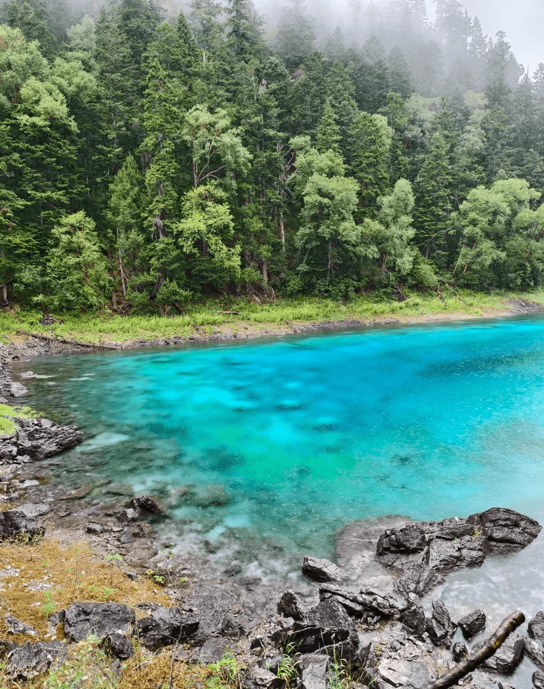 九寨溝・五彩池（ごさいち）──神秘的に輝く、九寨溝で最も多彩な色彩を持つ池群