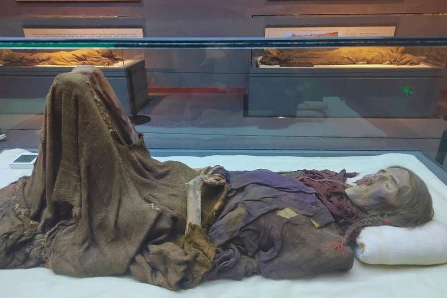 楼蘭遺跡の考古調査 20世紀初頭に再発見された遺構と出土文物