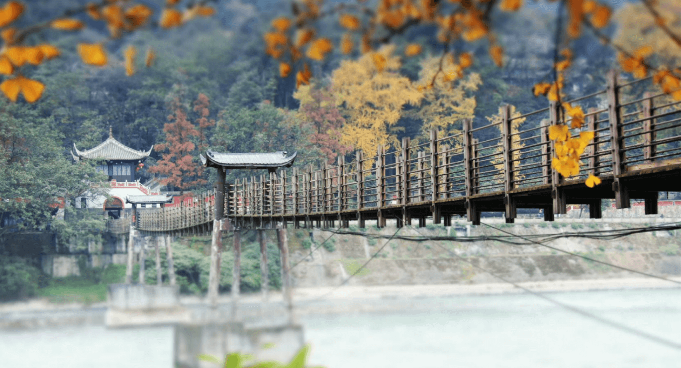 成都 · パンダと古代水利の自然探険 ー 1日ツアー