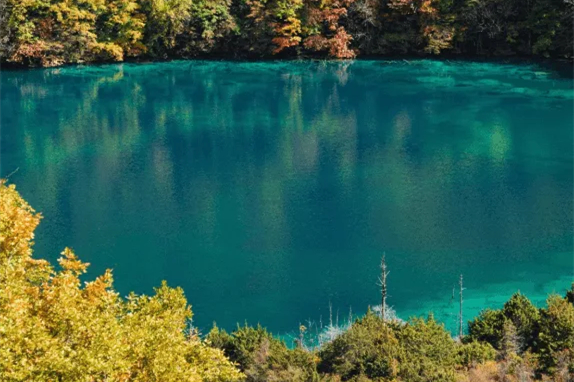 五花海（九寨溝）の魅力｜色彩の湖・透明度・絶景撮影スポットを徹底