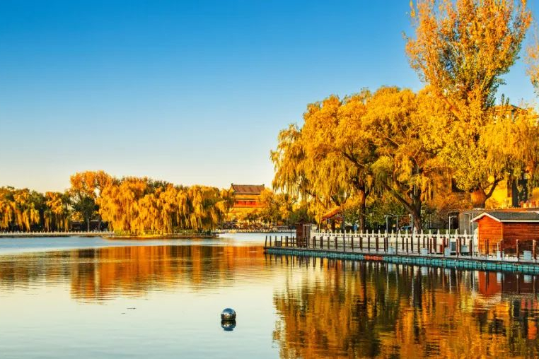 什刹海氷上レジャー ── 古都の中心で楽しむ、北京っ子に愛される冬の風物詩 