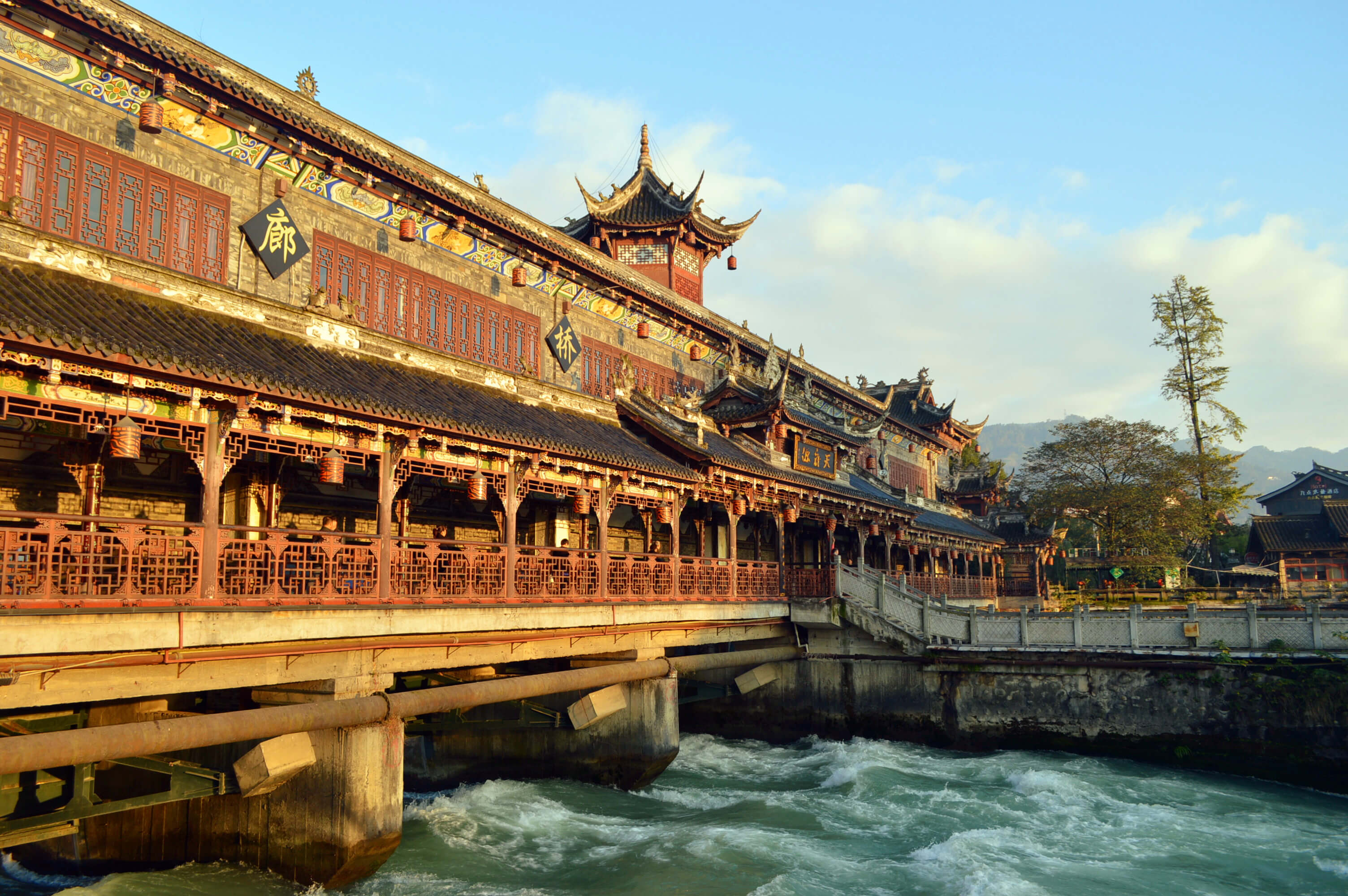 成都 · パンダと古代水利の自然探険 ー 1日ツアー