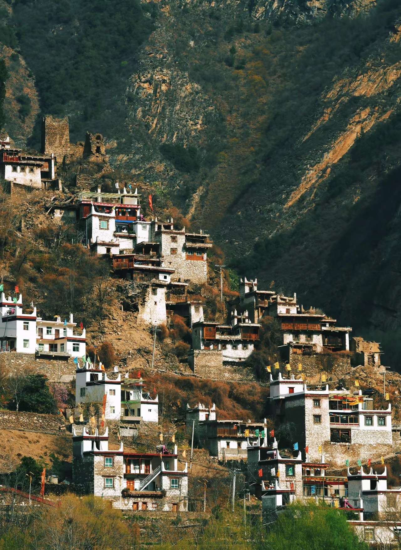 [6日間]四川西部一周！絶景観光ツア・四川料理,パンダ,四川西部,人気スポット,おすすめ スポット,中国旅行パンダの旅,四川旅行