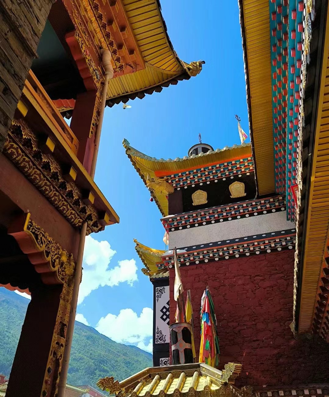 [6日間]四川西部一周！絶景観光ツア・四川料理,パンダ,四川西部,人気スポット,おすすめ スポット,中国旅行パンダの旅,四川旅行