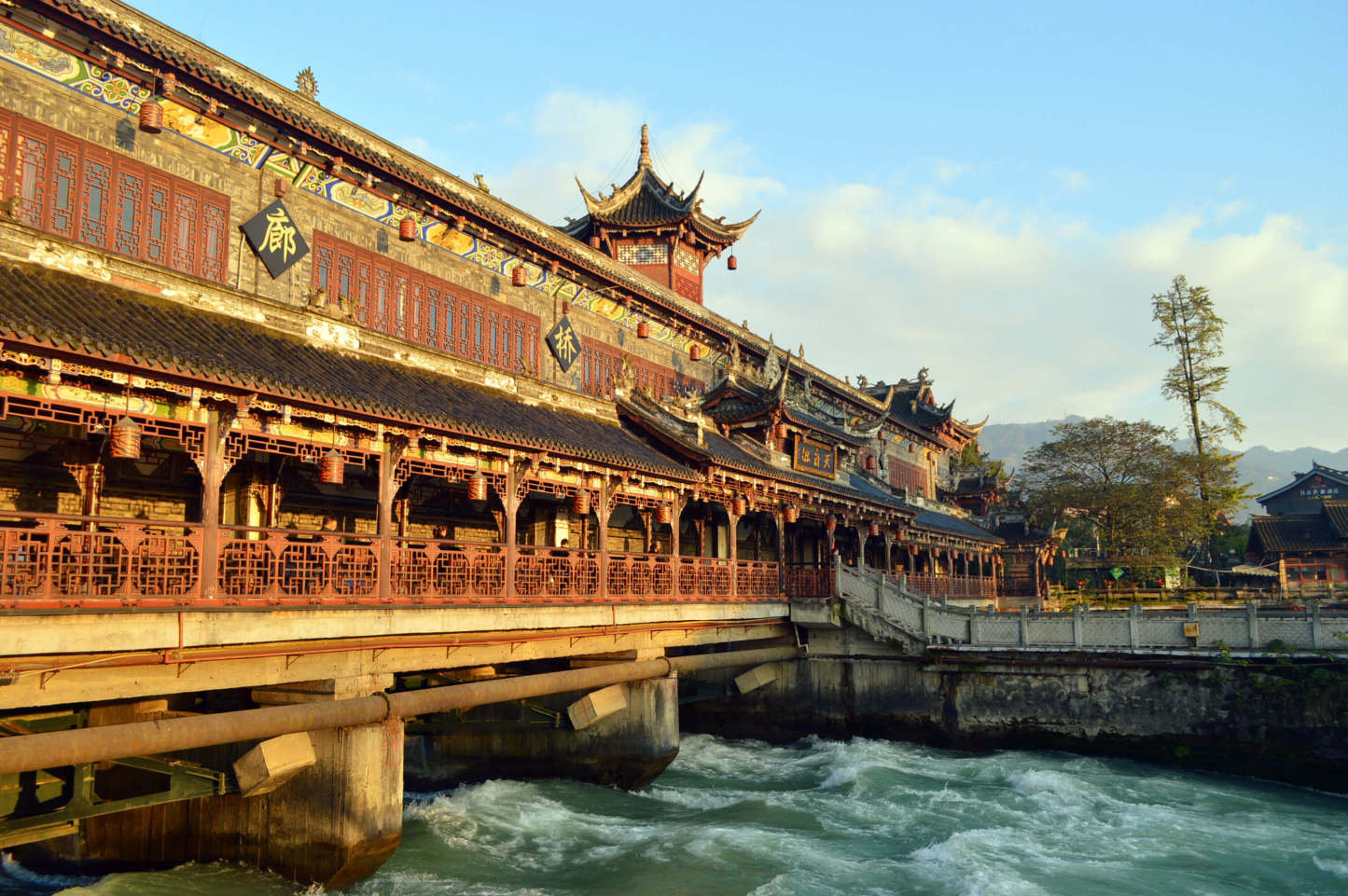 成都 · パンダと古代水利の自然探険 ー 1日ツアー