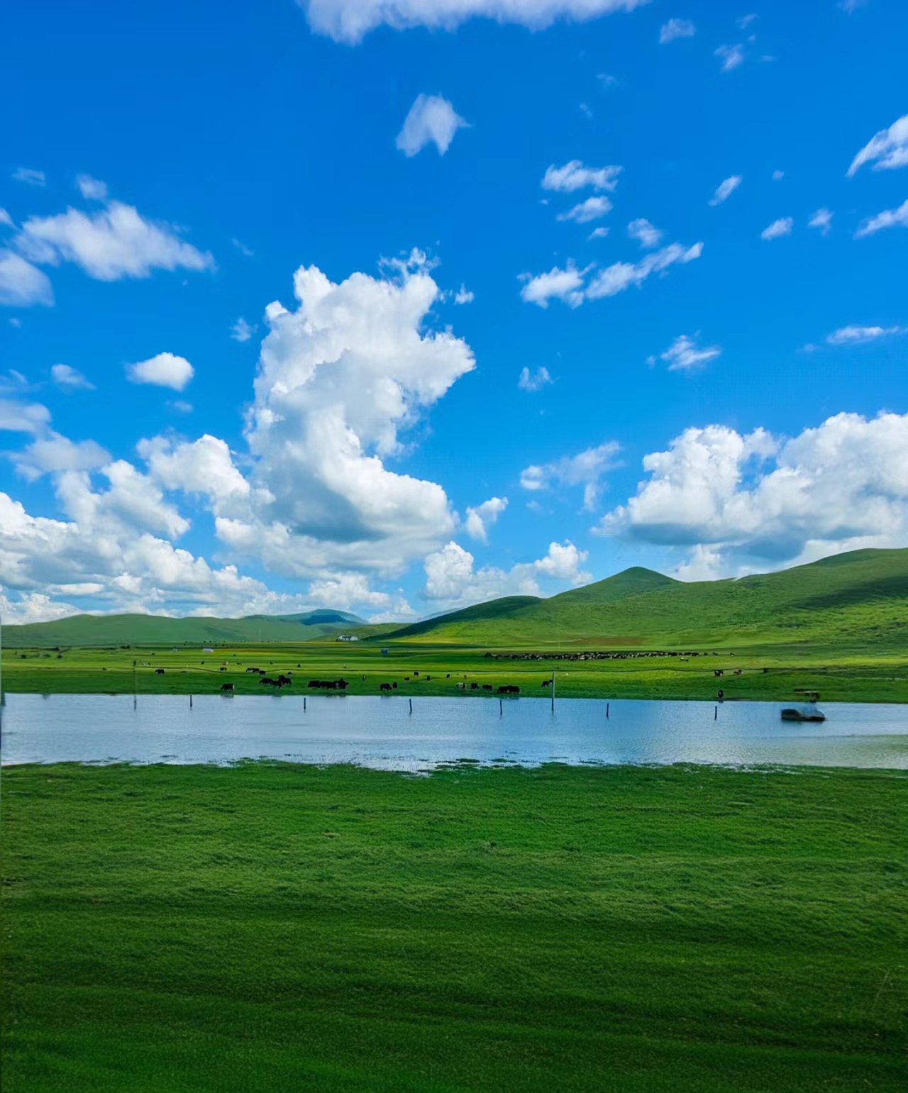 [7日間]九寨溝一周＆パンダ基地！自然豊かな秘境旅・四川料理,パンダ,四川西部,人気スポット,おすすめ スポット,中国旅行パンダの旅,四川旅行