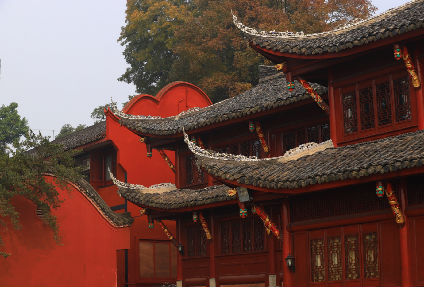 [5日間]成都の文化を気軽に楽しむ旅・四川料理,パンダ,四川西部,人気スポット,おすすめ スポット,中国旅行パンダの旅,四川旅行